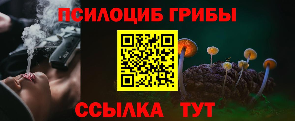 Ишим  Псилоцибиновые грибы MAGIC MUSHROOMS  Псилоцибиновые грибы MAGIC MUSHROOMS  закладки  Вход с VPN 